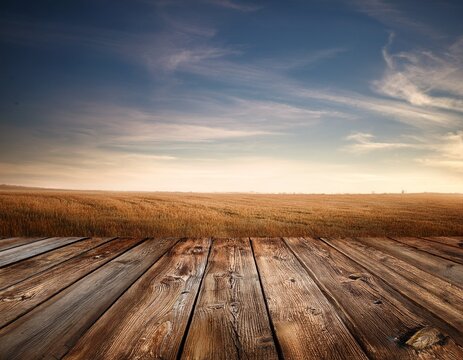 old wood background