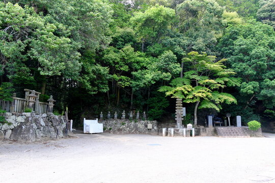 Japanese shrine ground path surrounded by green trees