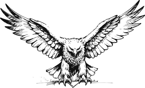Monochrome detailed eagle illustration with outstretched wings and sharp talons ready to strike