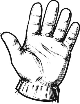 hand illustration with palm facing forward black and white sketch of open human hand showing fingers and thumb