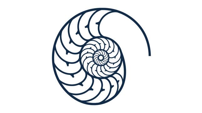 Stylized blue nautilus shell spiral logo design.