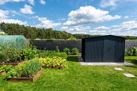 Garden with raised beds, greenhouse, and modern anthracite shed