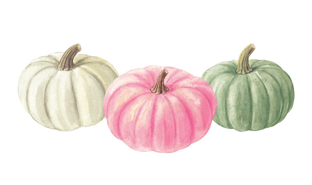 Three Decorative Pumpkins in Pastel Colors Watercolor Illustration, Thanksgiving border