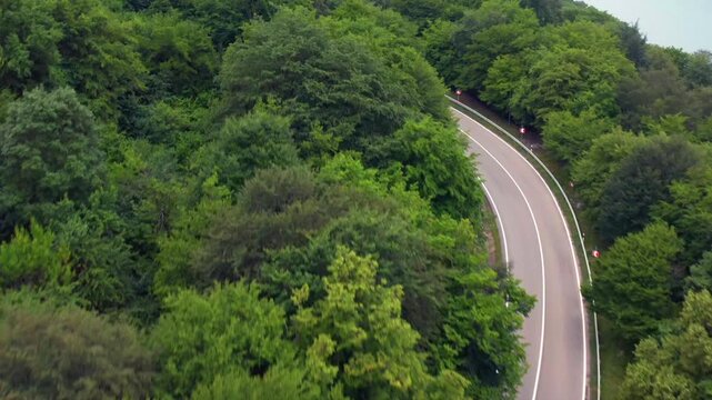 Aerial drone flies forward above a winding forest road near Zhinvali Reservoir in Georgia, following a car under thick canopy for scenic driving, tourism promotion and regional transport media.