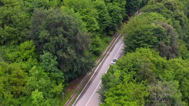 Aerial drone flies forward directly above a two-lane highway near Zhinvali Reservoir in Georgia, tracking a white car through dense forest for transport planning, scenic driving and tourism media.