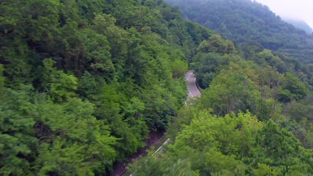 Aerial drone flies forward above a forested highway near Zhinvali Reservoir in Georgia, tracking a lone car beneath dense summer canopy for driving tourism, mobility planning, scenic transport media