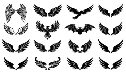 Set of different vector wings isolated on white background with feather wing icons © Liton
