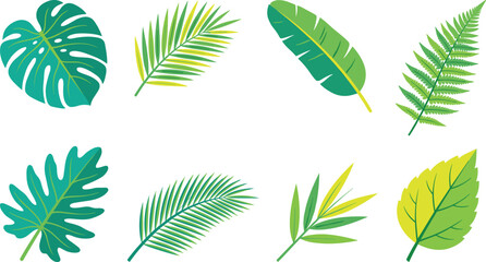 Collection of tropical leaf vector illustrations featuring monstera, palm, banana, fern, bamboo, and philodendron designs © SAHARA