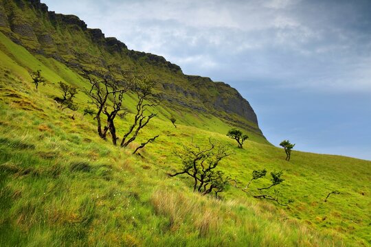 Nature in County Sligo, Ireland. Benbulben mountain (also known as Benbulbin or Ben Bulben). Part of Dartry Mountains.