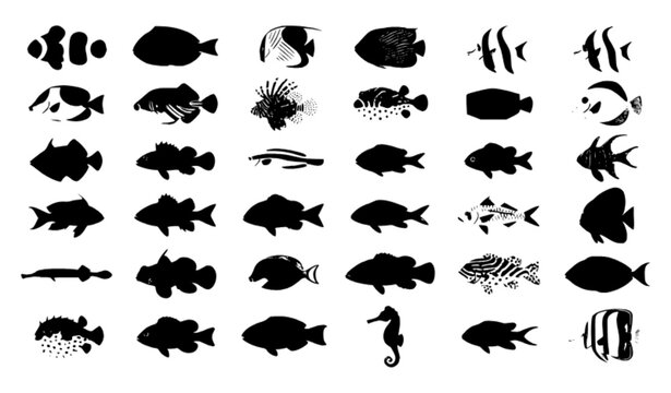 Exotic Tropical Fish Vector Set with Colourful Coral Reef Fish Flat Illustrations Isolated on White