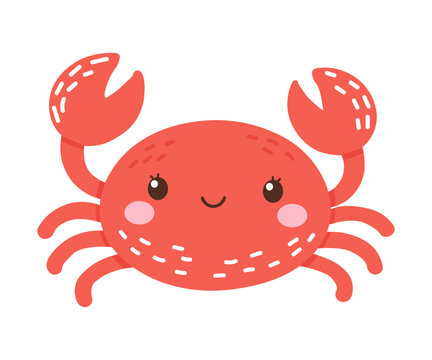 Cute red crab with claws, aquatic animal, seafood and marine cuisine vector illustration isolated on a white background.