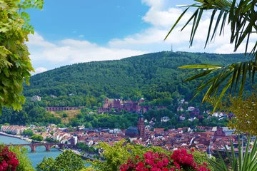 Blick vom Philosophenweg auf das Schloss und den Neckar in Heidelberg © Wilm Ihlenfeld