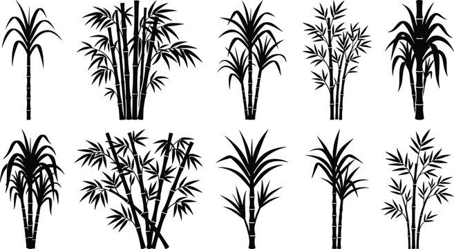 Bamboo and sugarcane vector silhouette icon set with black shapes of tropical stalks stems and foliage loops