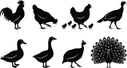 Poultry and farm birds silhouette icon set featuring chicken rooster duck goose turkey and peacock vector shapes © MdRasel