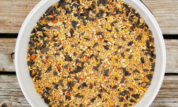 Top view of a plastic container filled with mixed bird seed including sunflower seeds, cracked corn, grains, and nuts.
