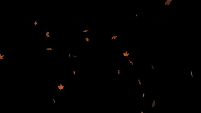 Golden autumn leaves falling on transparent background with realistic fall foliage, nature motion graphic overlay