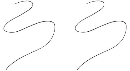 Fototapeta premium Hand Drawn Squiggly S-Curve Scribble Brushes – Flowing Wavy Line Strokes