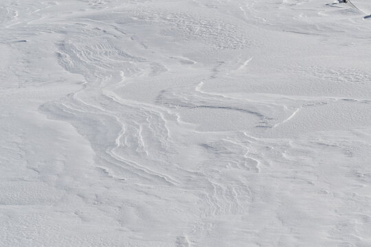 雪原　雪　雪景色　アーティスティック　モノクロ