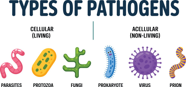 Types of Pathogens Classification Vector Chart Featuring Cartoon Microbes Categorized by Cellular Living Organisms and Acellular Infectious Agents for Biology Education