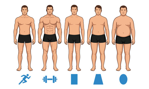 Male body types transformation comparison with fitness icons