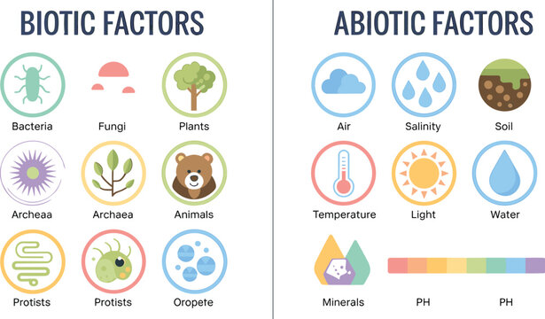 Biotic and Abiotic Factors Ecosystem Vector Infographic Chart Featuring Living Organisms and Non-Living Environmental Elements for Biology Science Education