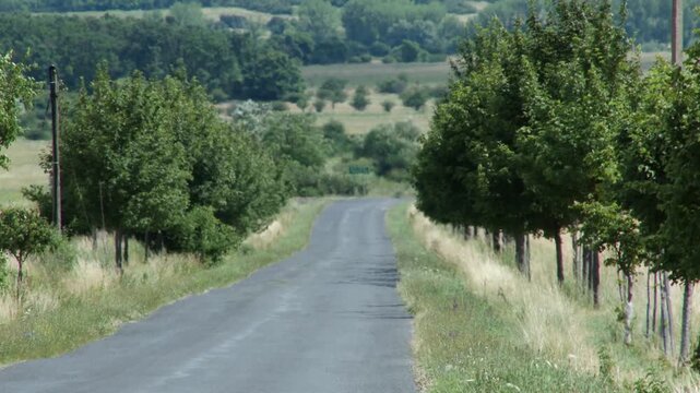 4K Abandoned Asphalt Road in Summer Heat mirage
