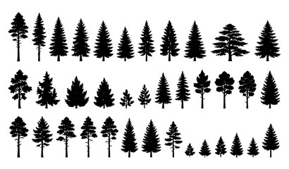 Conifer Tree Silhouette Collection Featuring Pine Spruce Fir and Evergreen Forest Design Elements © Boloram