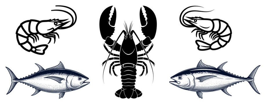 Vintage style black and white illustration of a lobster shrimp and tuna fish for seafood menu design