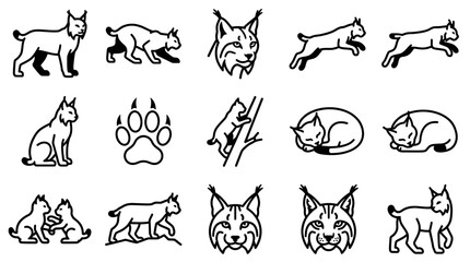 Lynx Icon Set: Wild Cat Illustrations, Paw Print, and Animal Poses © Jembot