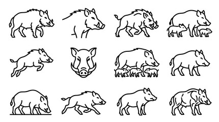 Wild Boar Line Art Collection: Vector Illustrations of Boars and Piglets © jual