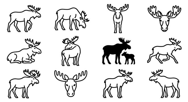 Moose Icon Collection: Various Poses and Styles - Silhouette and Outline