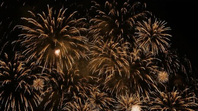 Vibrant fireworks exploding in night sky.