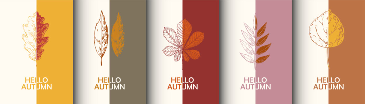Hello autumn fall banners set  hand drawn fallen leaves vector illustration. sketch leaves including oak, chestnut, and birch typography for social media stories, greeting cards, thanksgiving designs,