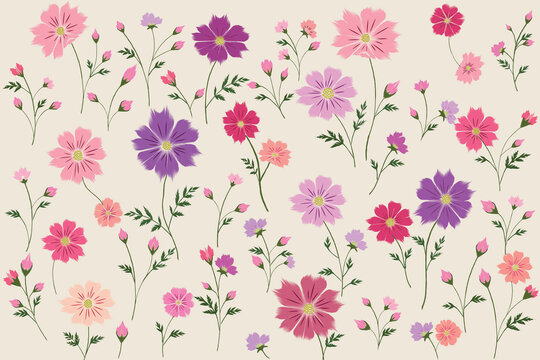 Botanical Painterly Cosmos Floral Seamless Pattern, Collection No.007