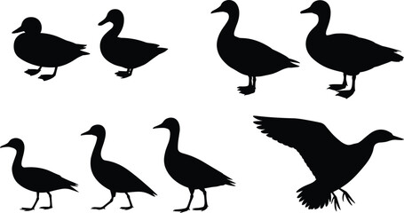 Duck and Goose Silhouette Icon Set Collection with Flying Waterfowl Bird Vector Designs © MstSakila
