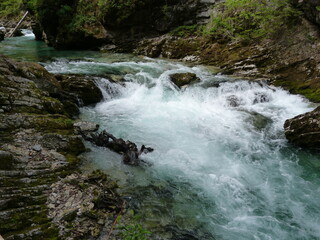 torrent in the forest, vintgar gorge, slovenia © MarieCéline