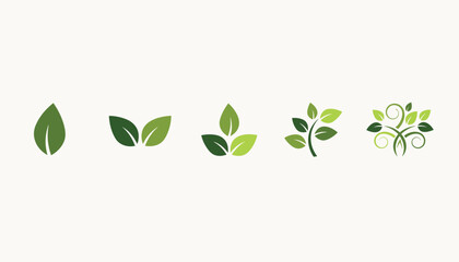 Obraz premium Collection of five green leaf icons showing plant growth progression from a single leaf to a decorative vine cluster.