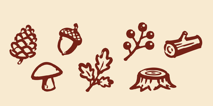 Autumn Forest Elements Doodle Vector Illustration