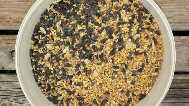 Filling a plastic container with mixed bird seed including sunflower seeds, cracked corn, grains, and nuts.