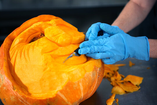 Preparing for Halloween. A craftsman carves a scary face out of a pumpkin. Pumpkin carving. Artistic vegetable carving for Halloween decorations. Table decorations