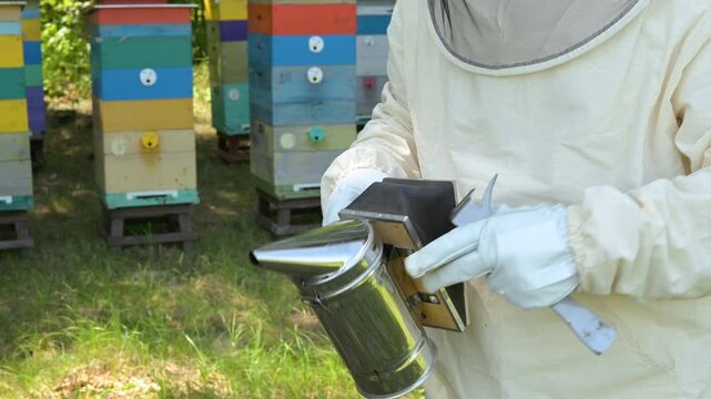 Beekeeper in protective suit preparing a smoker for working with bees in apiary. Man in white gloves using a metal bee smoker near colorful hives symbolizing safety focus and traditions