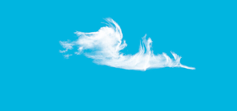 A single white feathery cloud isolated against a bright blue sky background.