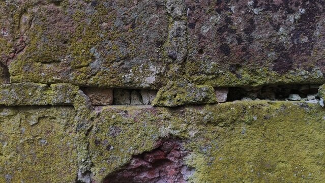 Damp Ruined Brickwork Dark degraded blocks completely covered in algae and dirt for post apocalyptic landscapes horror game textures and neglected infrastructure themes