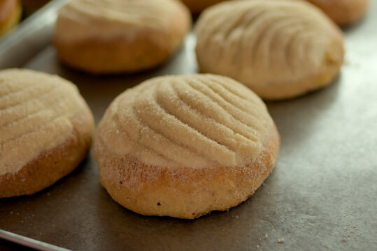 Freshly baked sweet concha bread on baking tray with copyspace