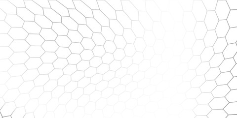 Fishing or soccer net. Repeated hexagon pattern. Black wired mesh texture isolated on white background. © muhammad