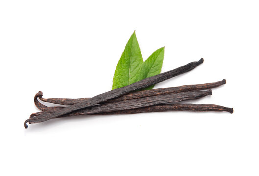Vanilla stick with mint leaves