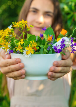 Medicinal herbs in a meadow. Selective focus.