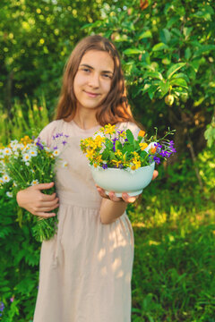 Medicinal herbs in a meadow. Selective focus.