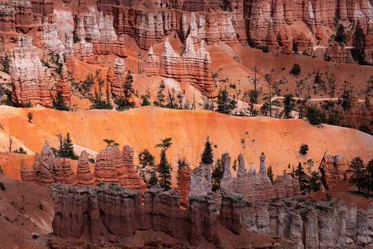 View of the iconic orange hoodoos and sandstone rock formations of Bryce Canyon National Park with scattered pine trees and hiking trails in Utah, United States.