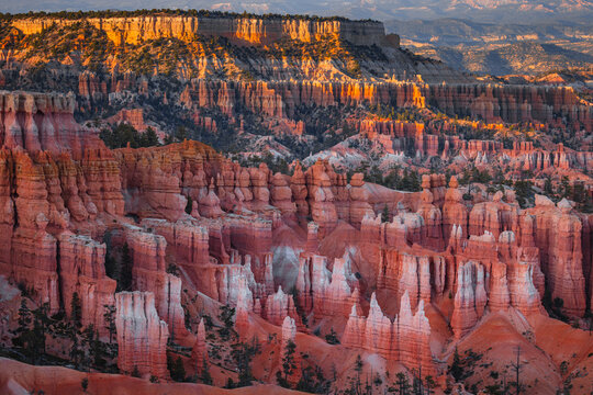 View of the iconic hoodoos and red rock formations of Bryce Canyon National Park illuminated by golden hour light in Utah, United States.